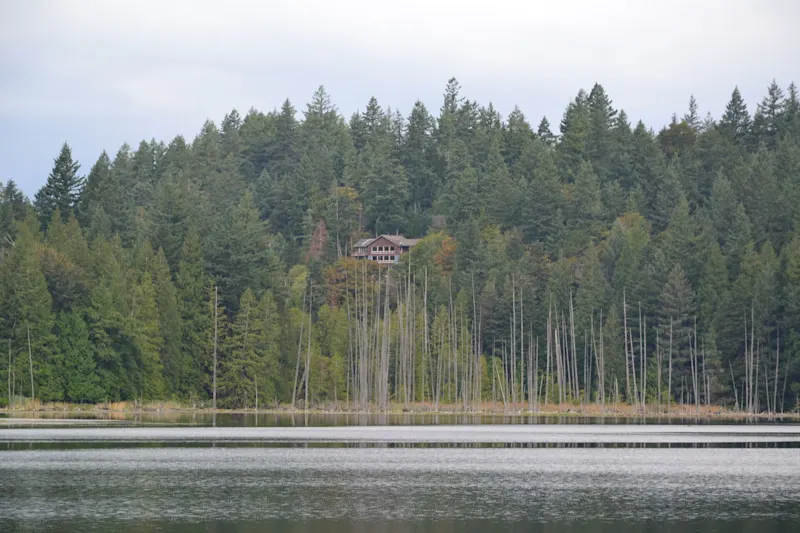 Photo from Bowen Island, Canada