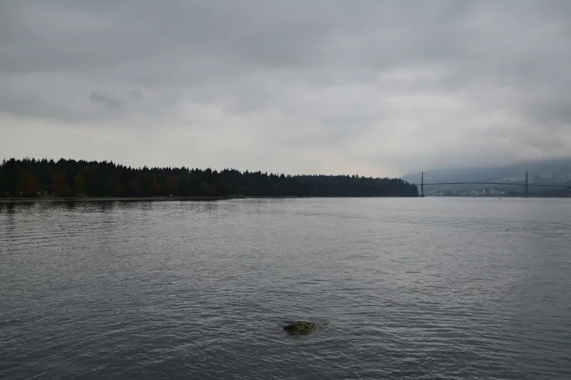 Photo from Vancouver, Canada