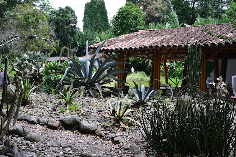 Photo from Quindio, Colombia