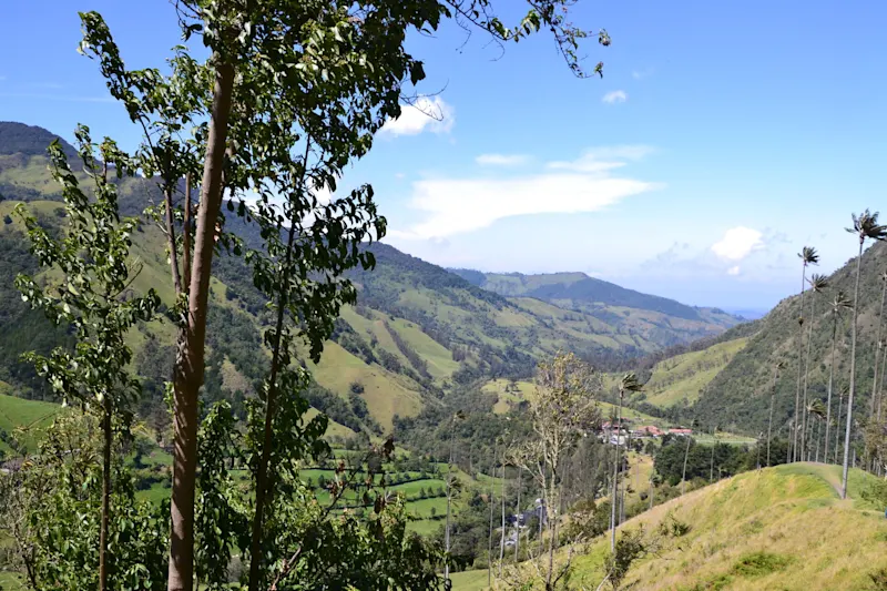 Photo from Quindio, Colombia