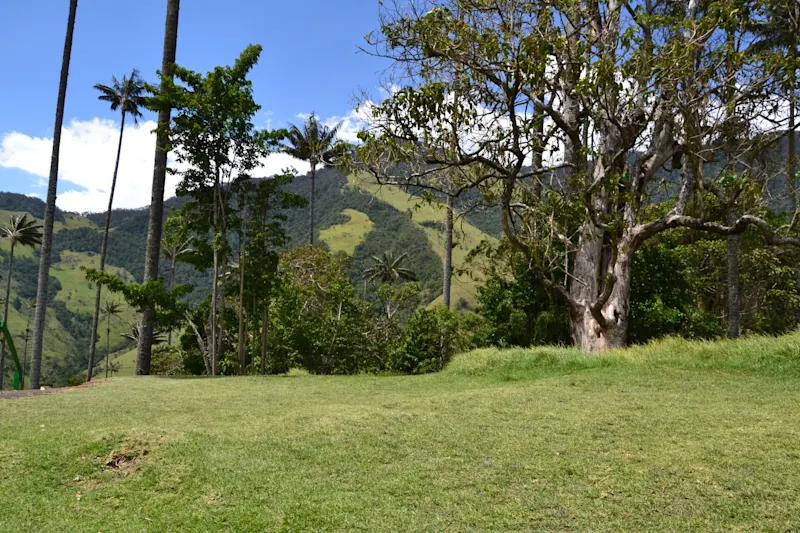 Photo from Quindio, Colombia