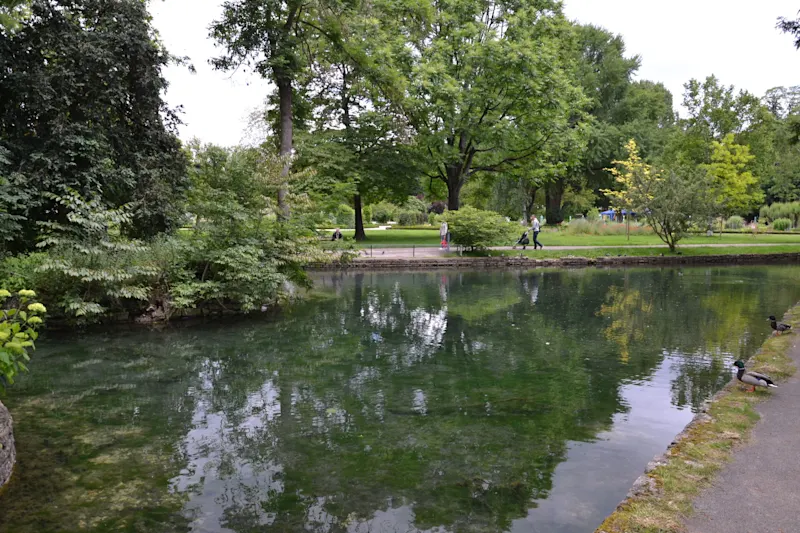 Photo from Dijon, France