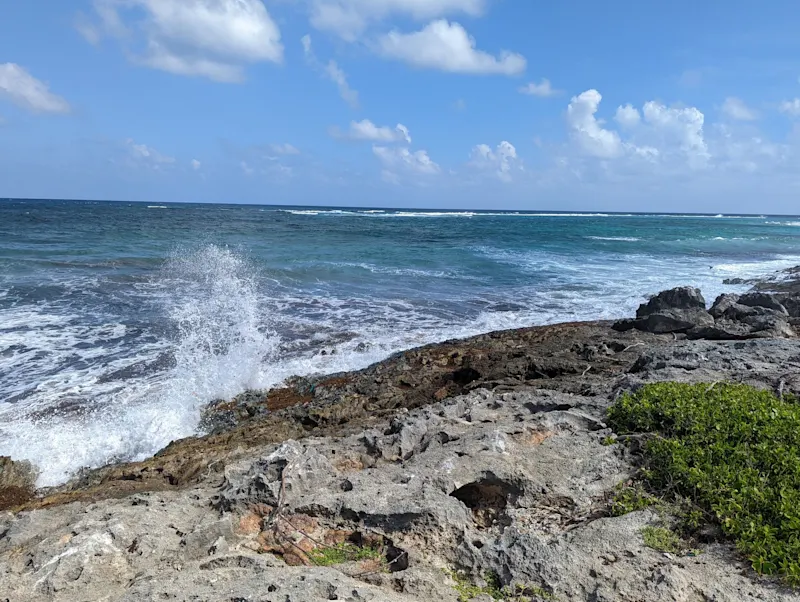 Photo from Barbuda, Antigua & Barbuda