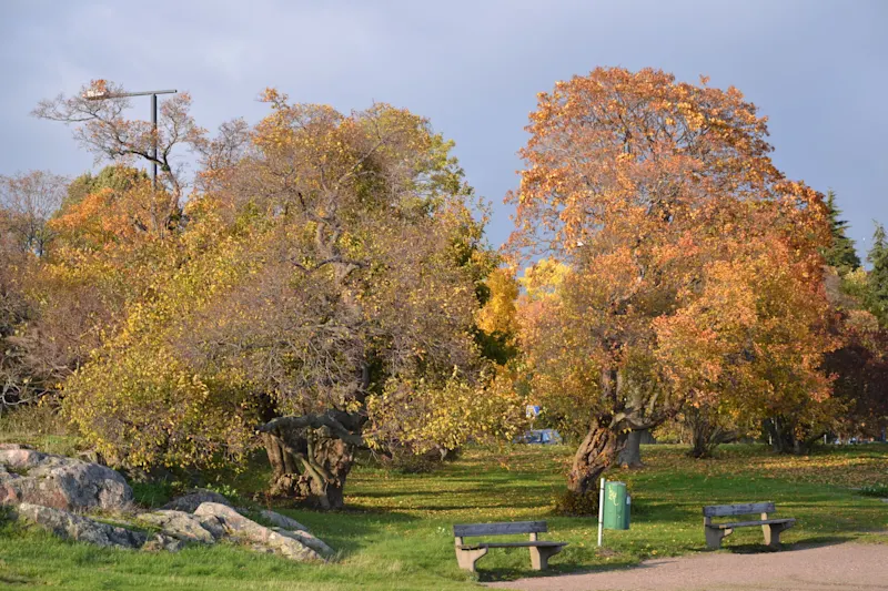 Photo from Helsinki, Finland