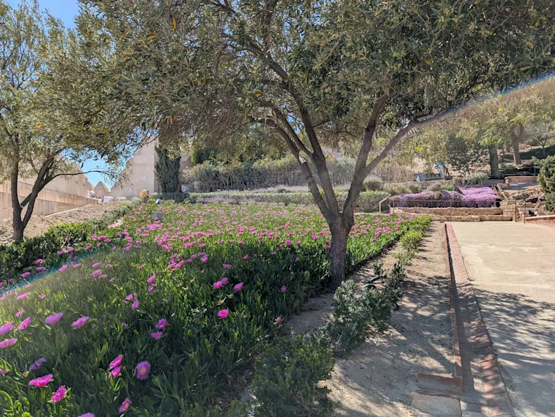 Photo from Almeria, Spain
