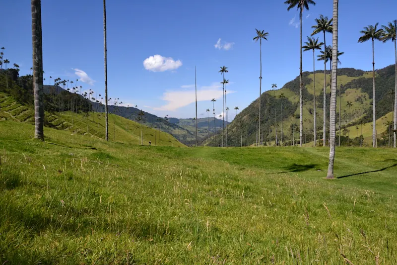 Photo from Quindio, Colombia