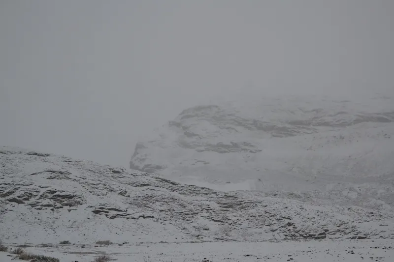 Photo from Icefields Parkway, Canada
