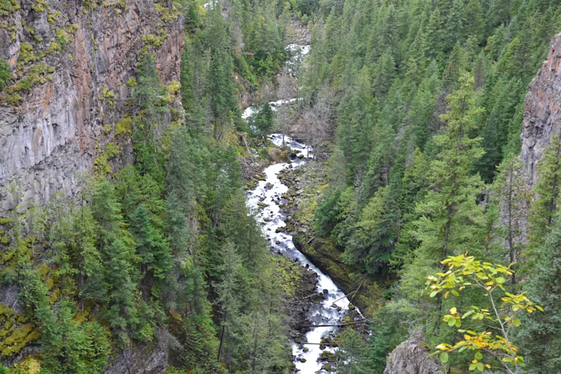 Photo from Yellowhead, Canada