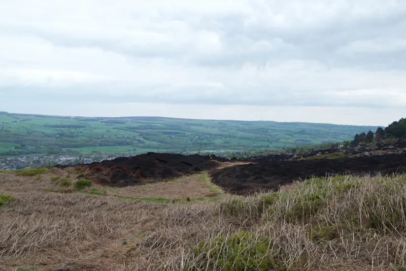 Photo from Ilkley, England