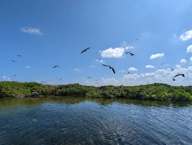 Photo from Barbuda, Antigua & Barbuda