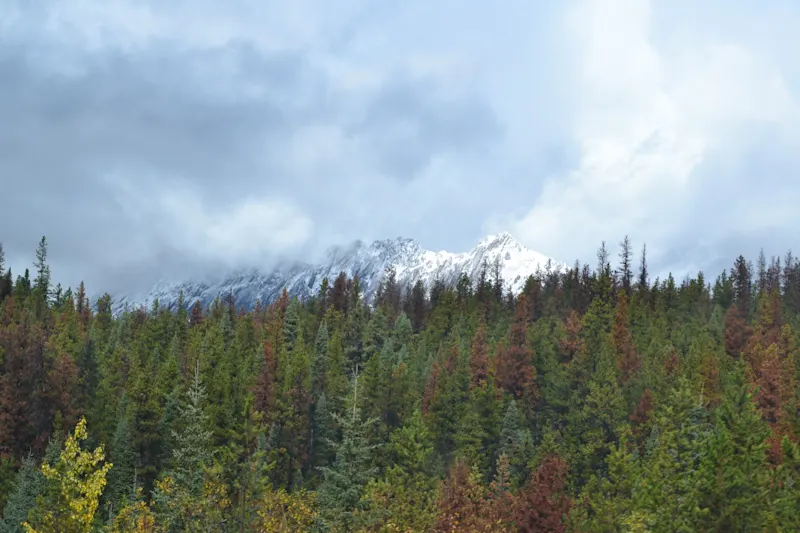 Photo from Jasper, Canada