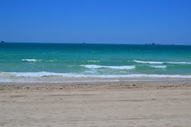 Photo from Miami, United States