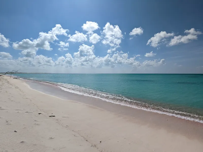 Photo from Barbuda, Antigua & Barbuda
