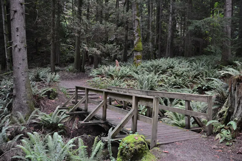 Photo from Bowen Island, Canada