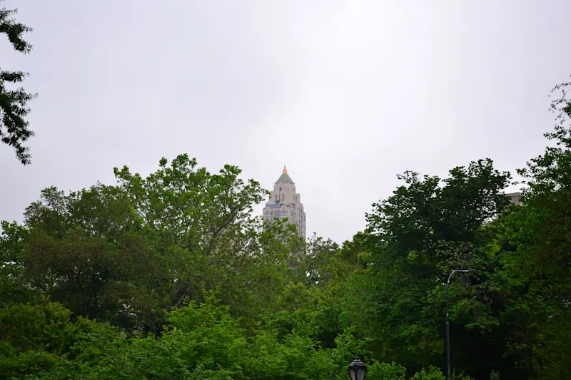 Photo from New York, United States