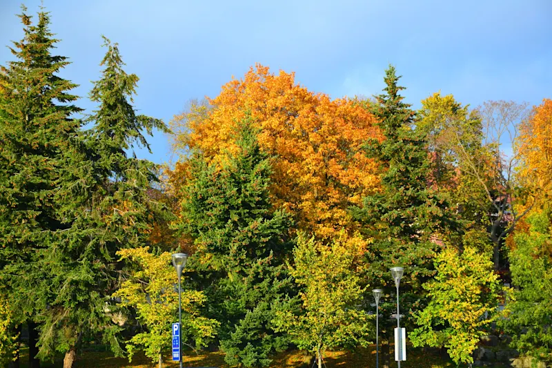 Photo from Helsinki, Finland