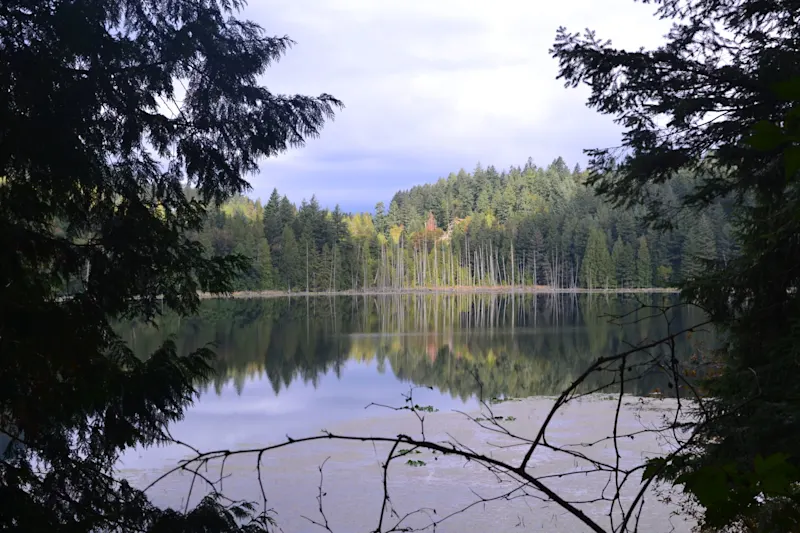 Photo from Bowen Island, Canada