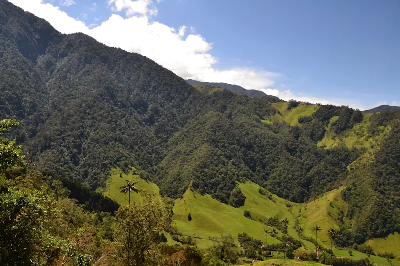 Photo from Quindio, Colombia