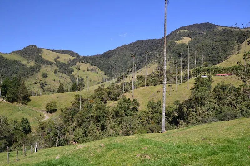 Photo from Quindio, Colombia