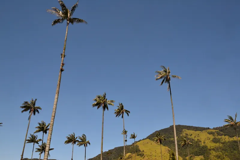 Photo from Quindio, Colombia