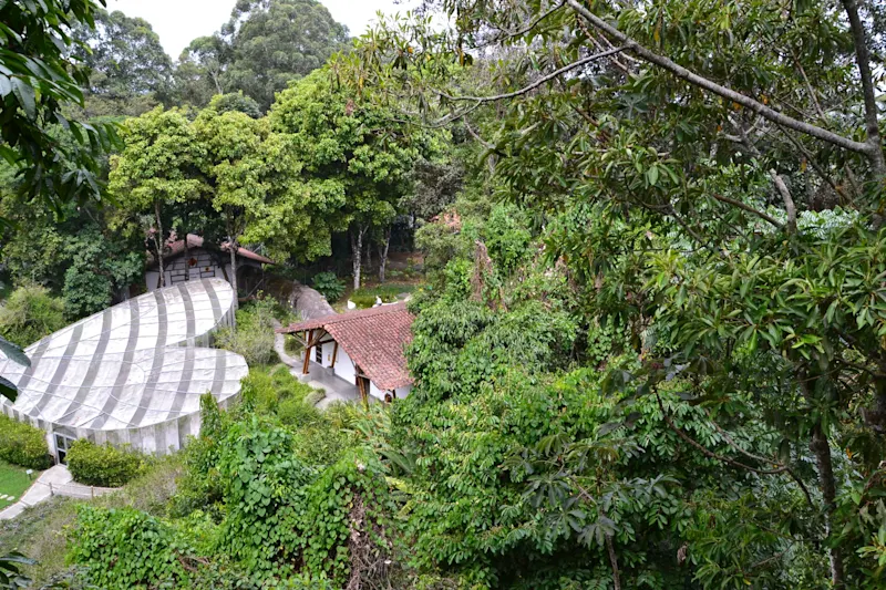 Photo from Quindio, Colombia