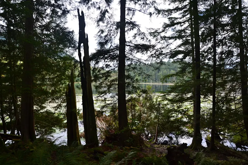 Photo from Bowen Island, Canada