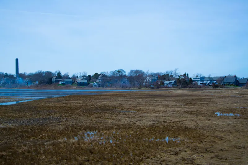 Photo from Cape Cod, United States