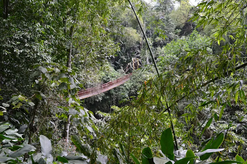 Photo from Quindio, Colombia
