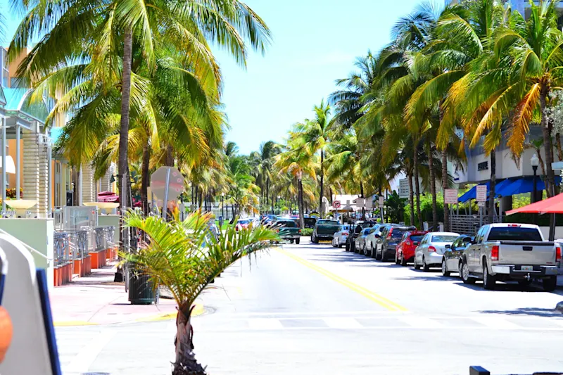 Photo from Miami, United States