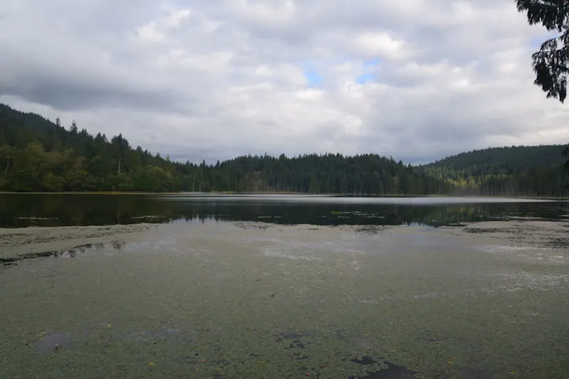 Photo from Bowen Island, Canada