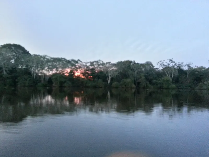 Photo from Pantanal, Brazil