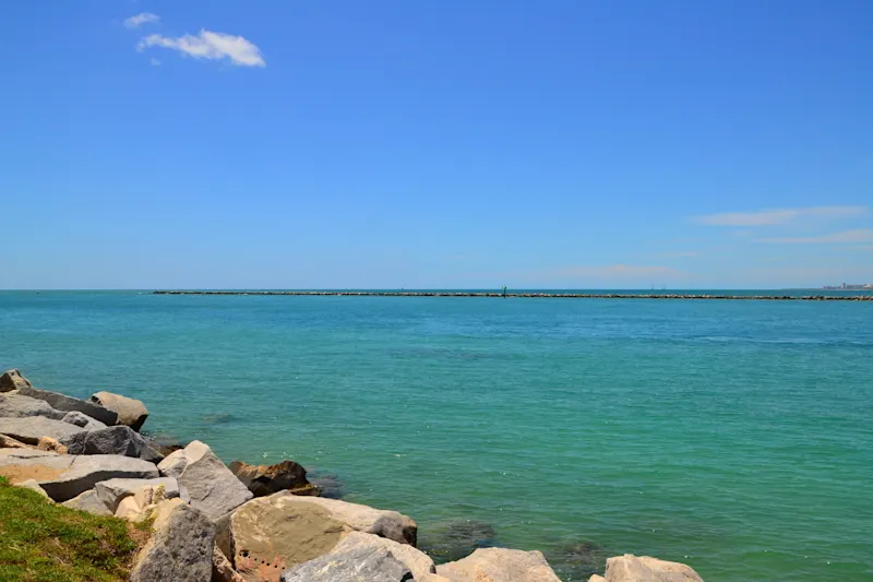 Photo from Miami, United States