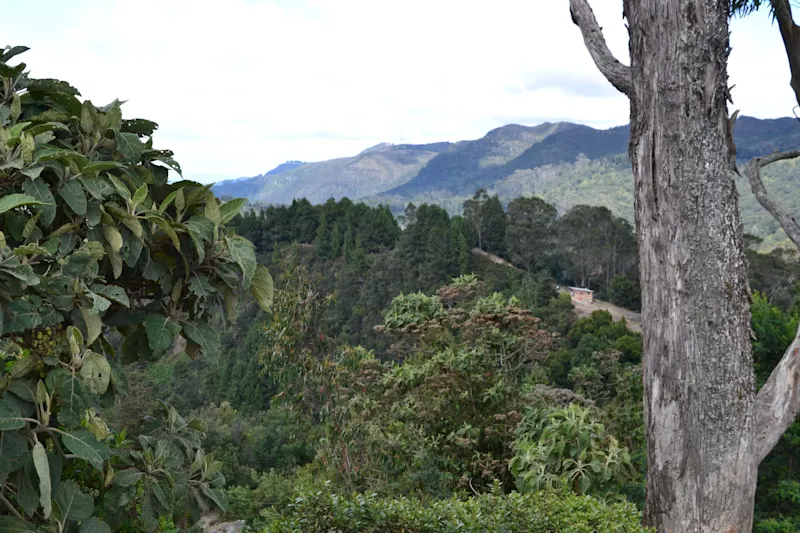 Photo from Bogota, Colombia