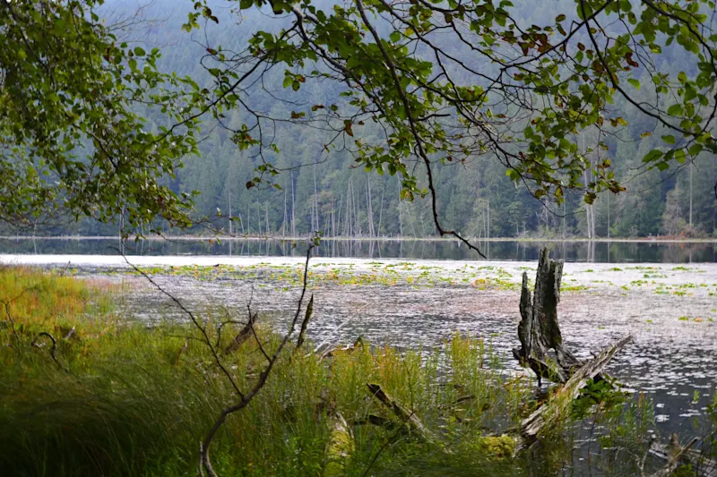 Photo from Bowen Island, Canada