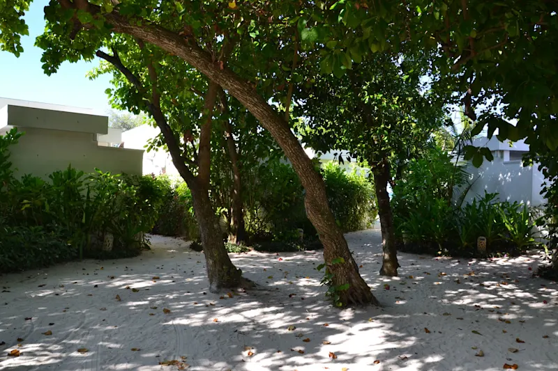 Photo from Helengeli, Maldives