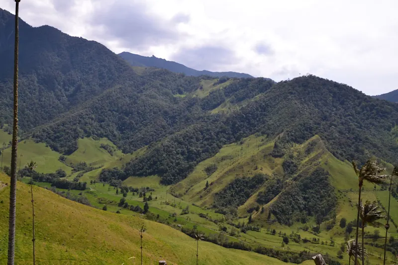 Photo from Quindio, Colombia