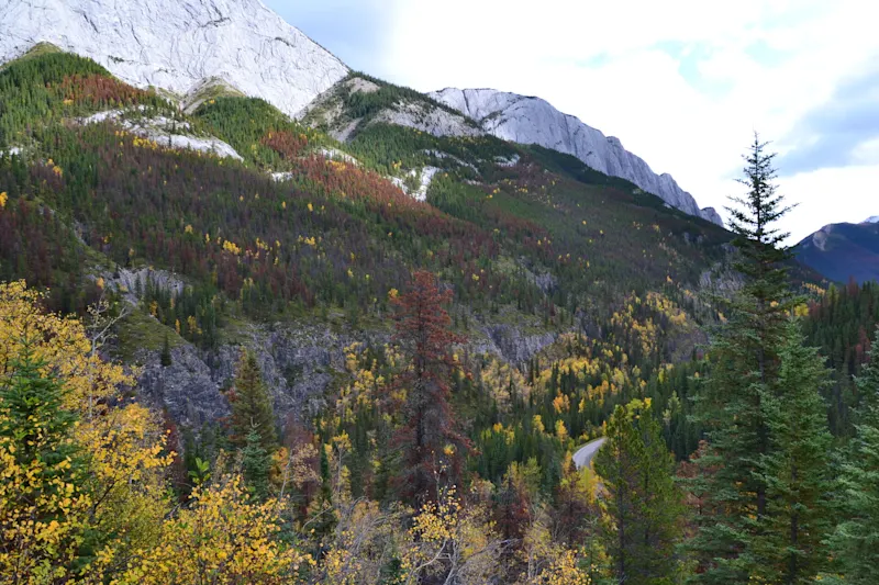 Photo from Jasper, Canada