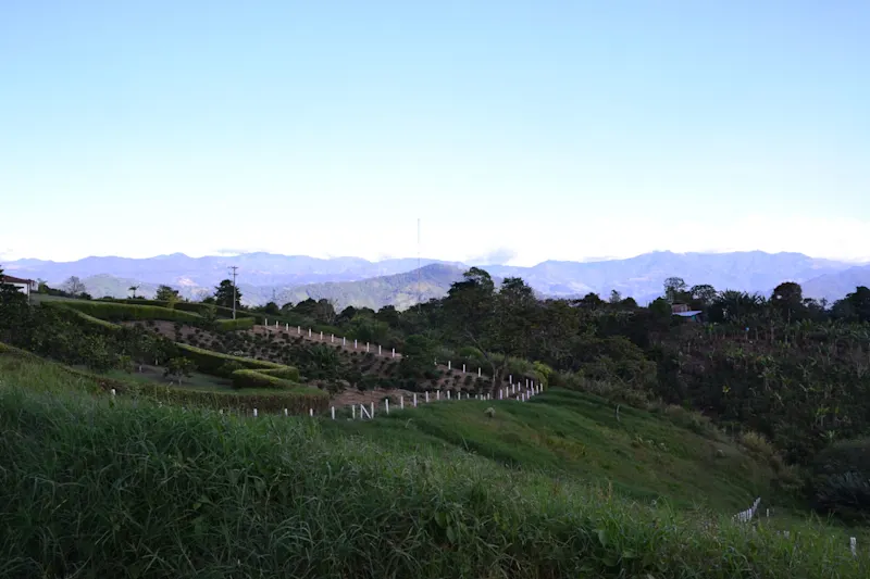 Photo from Quindio, Colombia