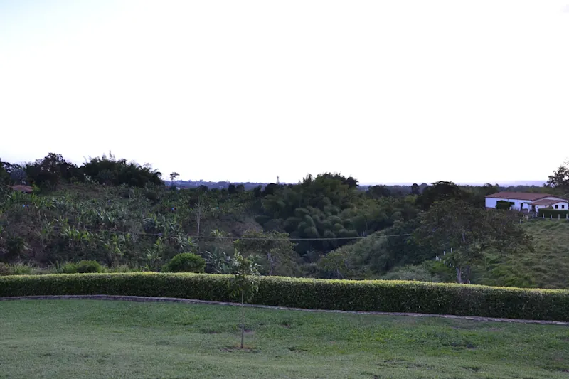 Photo from Quindio, Colombia