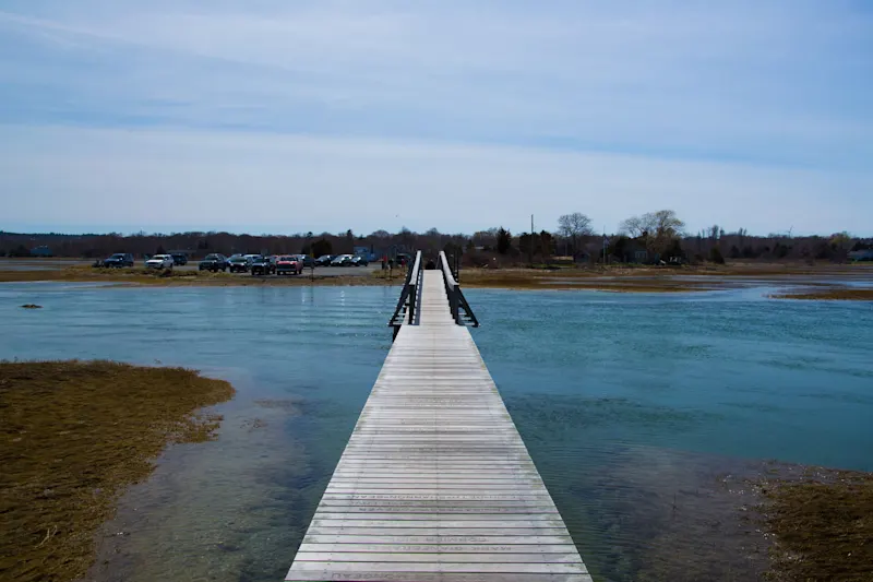 Photo from Cape Cod, United States