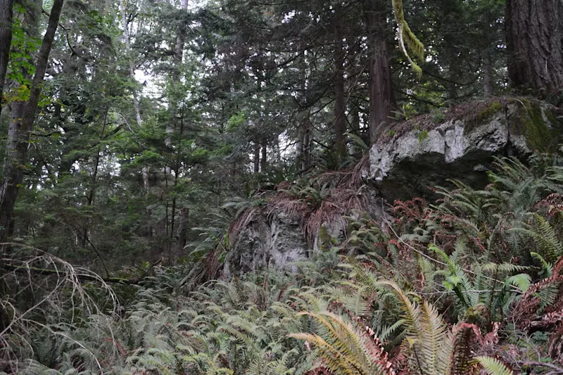 Photo from Bowen Island, Canada