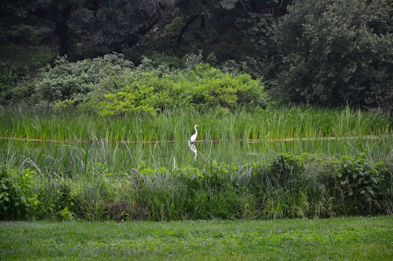 Photo from New York, United States