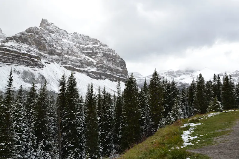 Photo from Icefields Parkway, Canada