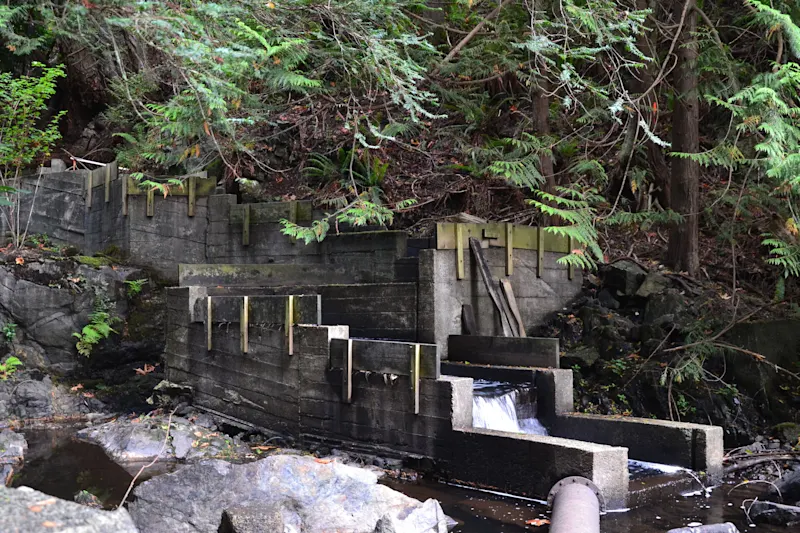 Photo from Bowen Island, Canada