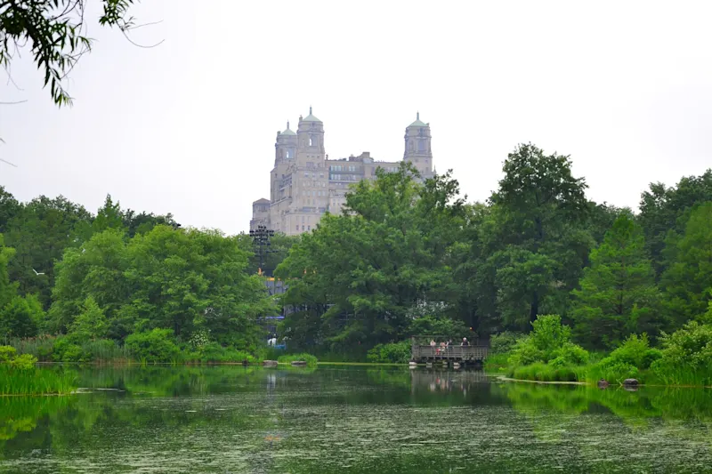 Photo from New York, United States