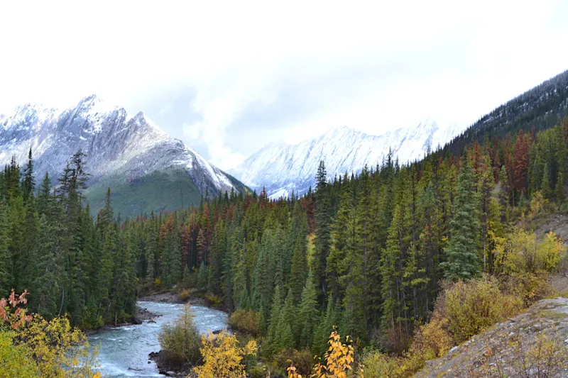 Photo from Jasper, Canada