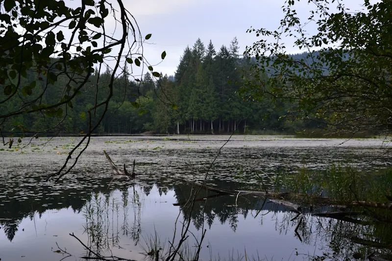 Photo from Bowen Island, Canada