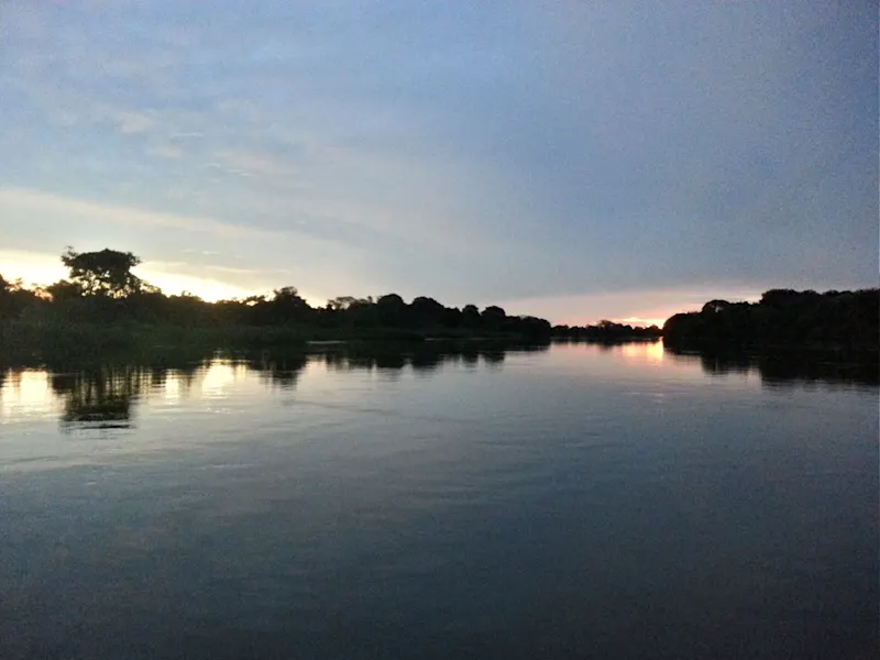 Photo from Pantanal, Brazil