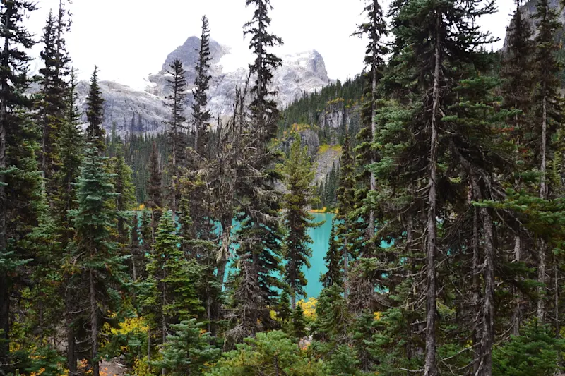 Photo from Joffre Lakes, Canada