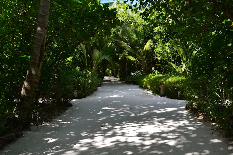 Photo from Helengeli, Maldives